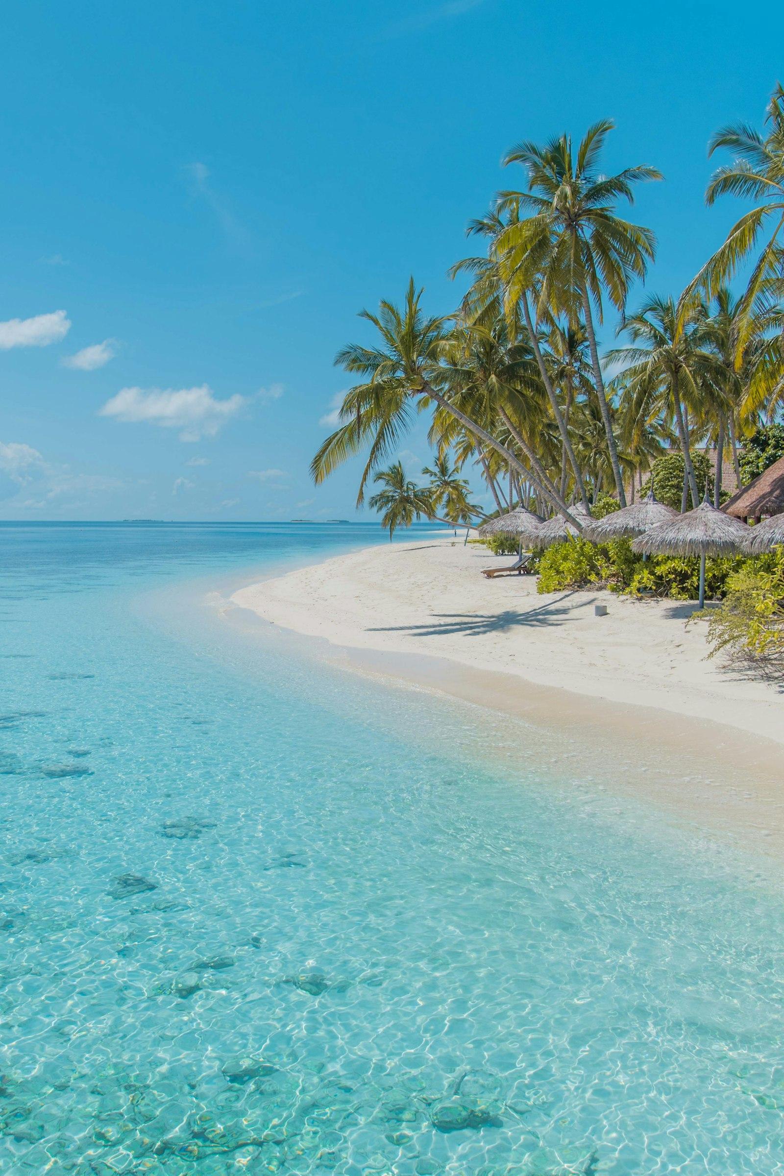 Clear turquoise sea and tropical island coastline