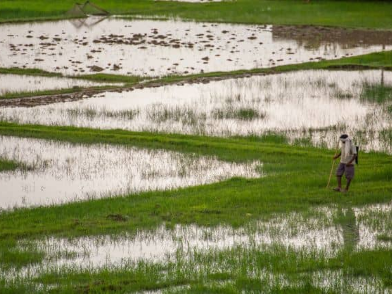 Kailash Mansarovar Yatra Via Kathmandu - By Helicopter