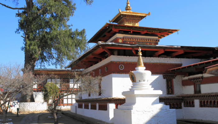 800 x 600 - 2026-03-07T132326.557