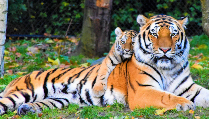 800 x 600 - 2026-03-07T213511.734