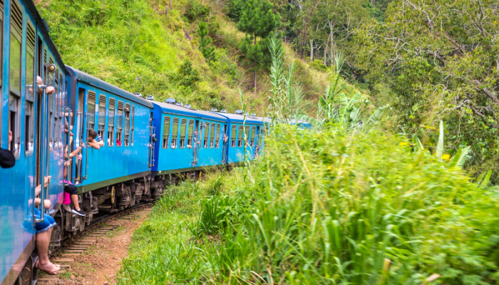 800 x 600 - 2026-03-09T185427.177