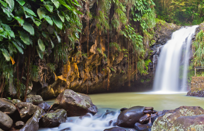 800 x 600 - 2026-03-12T223822.424