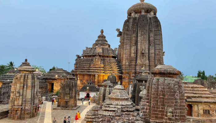 800 x 600 - 2026-03-13T152514.356