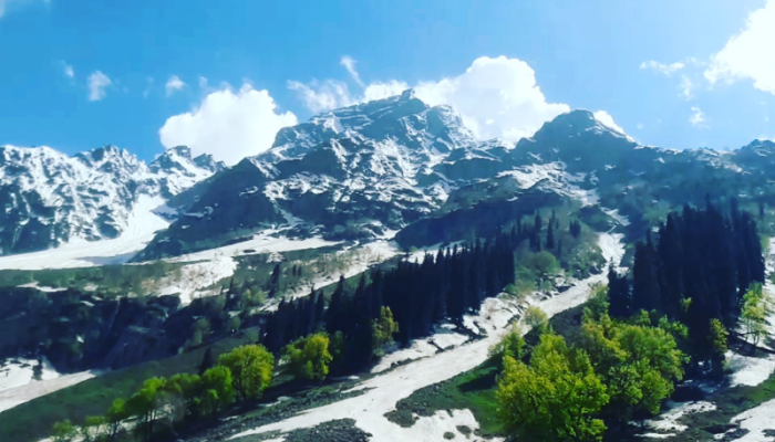 800 x 600 - 2026-03-14T105231.751