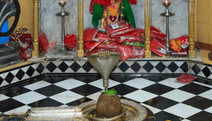 800 x 600 - 2026-03-17T215356.003