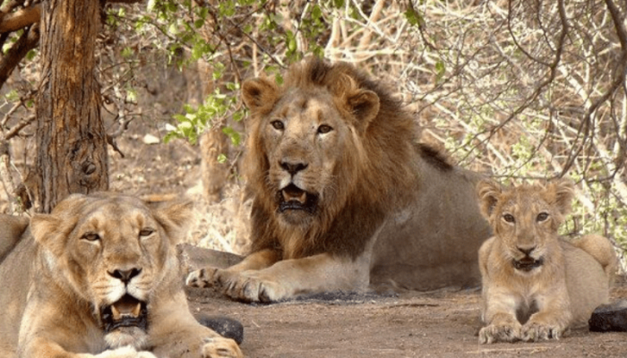 800 x 600 - 2026-03-17T235347.348