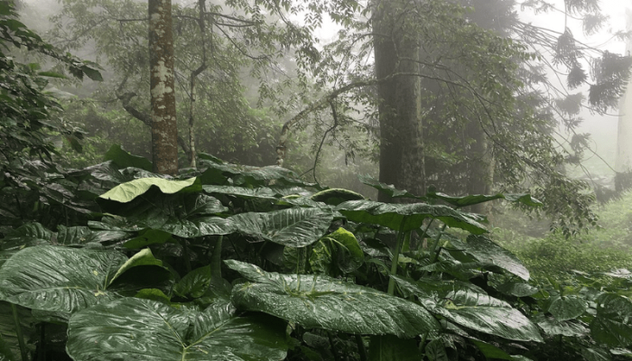 800 x 600 - 2026-03-18T181206.294