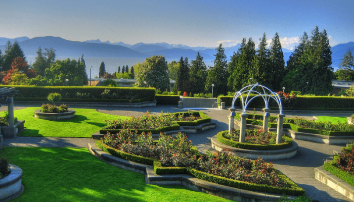 800 x 600 - 2026-03-18T181219.946