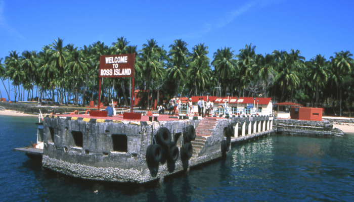 800 x 600 - 2026-03-20T184354.637