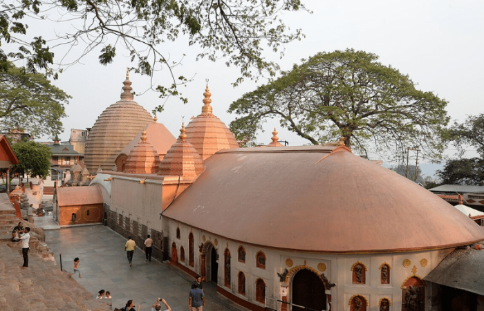 800 x 600 - 2026-03-21T223349.643